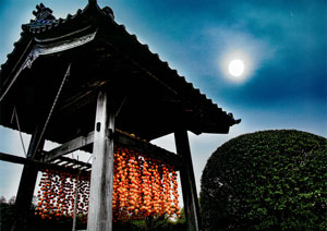 柿寺