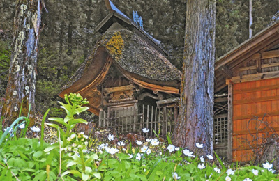 深山の春
