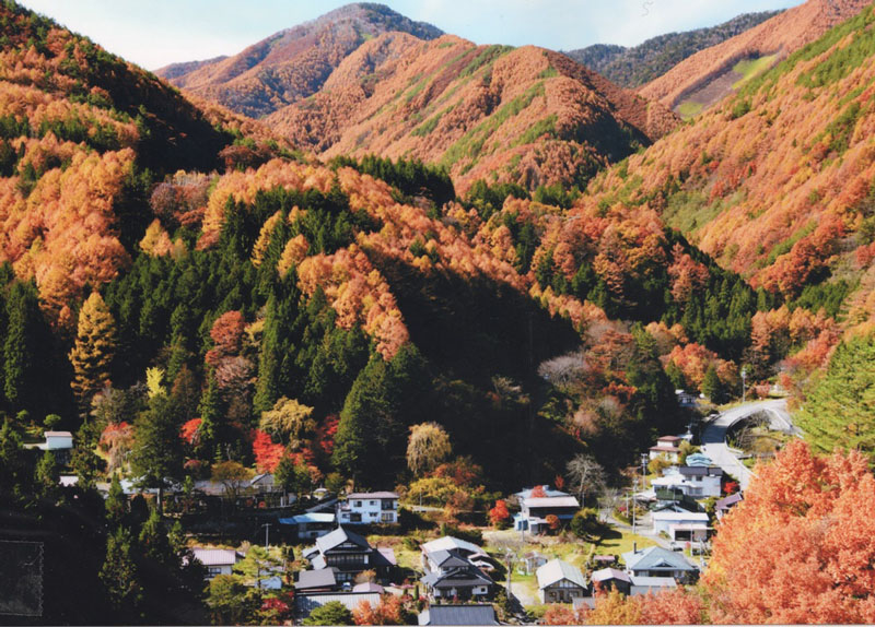 秋景色”width=