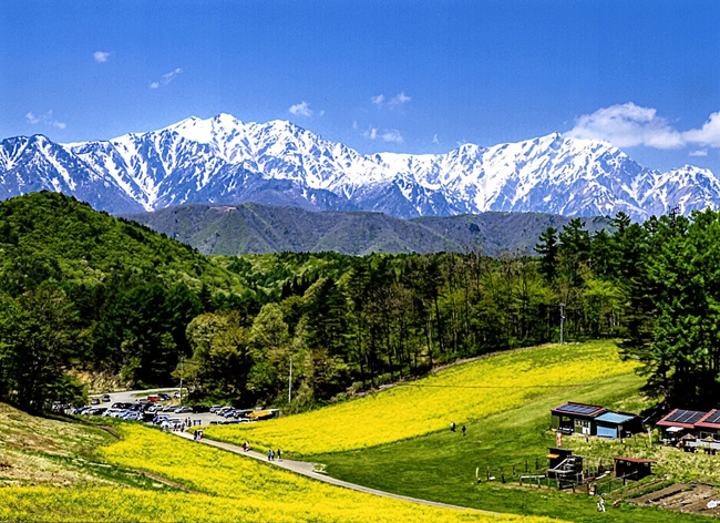 仁科三山の春