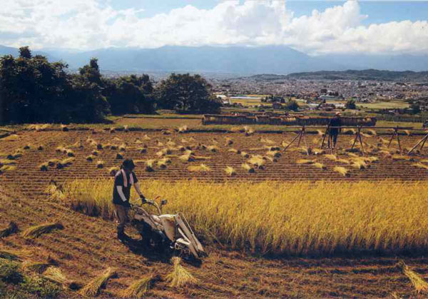 棚田風景