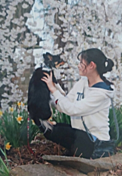 炢